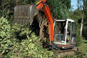 The Importance of Land Clearing