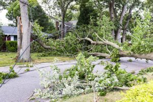 Four Tips to Make Storm Cleanup Easier