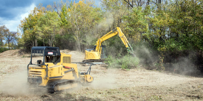 Forestry Mulching in Asheboro, NC